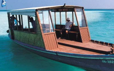 5 Esperienze Uniche da Vivere Durante una Vacanza alle Maldive