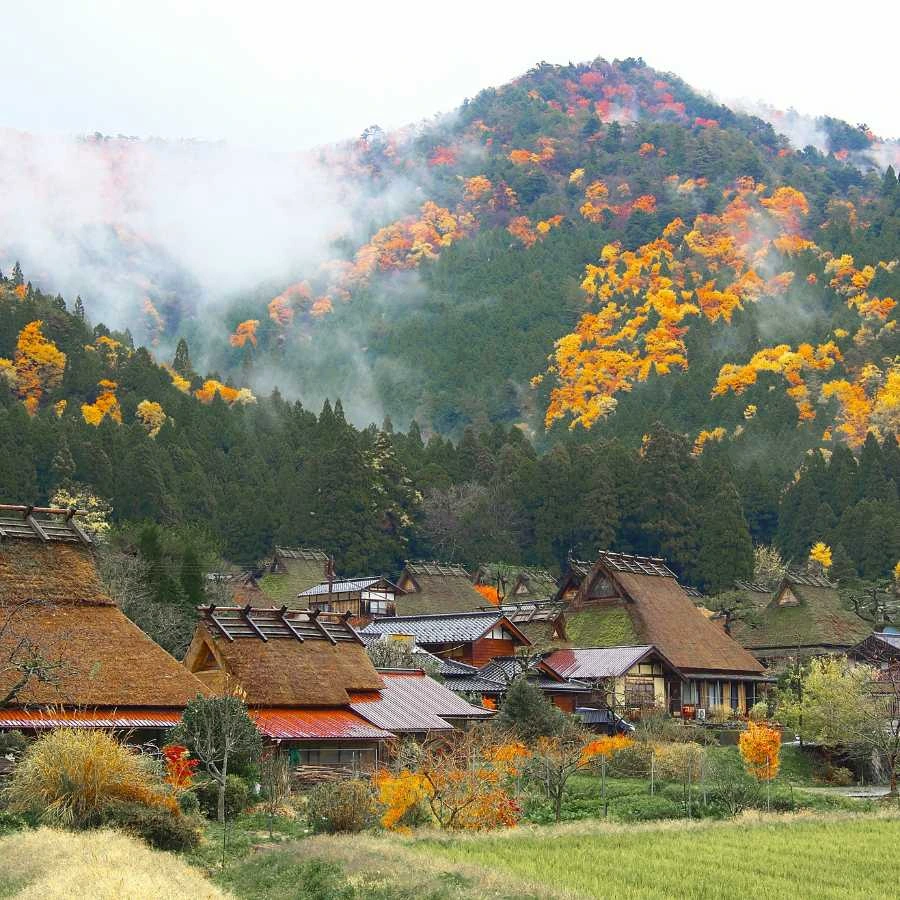 Villaggio tradizionale giapponese tra colline alberate e nebbia leggera