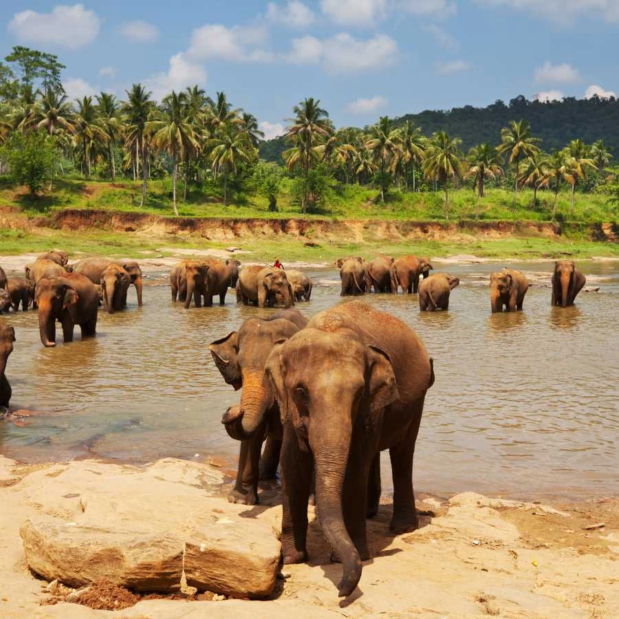 Devo ottimizzare questa immagine per il sito di un tour operator. E’ riferita a questa offerta/articolo. Voglio che tu crei:<br />
•	Testo alternativo: Una descrizione chiara e concisa dell'immagine, utile per l'accessibilità e la SEO.<br />
•	Titolo: Una frase breve con parole chiave commerciali, come 'last minute [destinazione]' o 'offerta vacanza [destinazione]'.<br />
•	Didascalia: Una breve descrizione visibile sotto l'immagine, che spieghi in modo naturale e coinvolgente il contenuto della foto.<br />
•	Descrizione: Una spiegazione più lunga, ottimizzata per la SEO, che contenga parole chiave commerciali per attrarre chi cerca offerte di viaggio.<br />
Ecco l'immagine: 