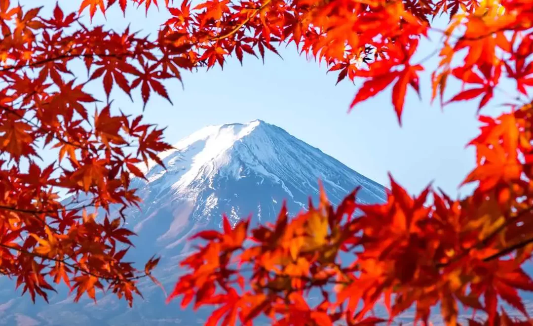 Giappone in rosso d’autunno