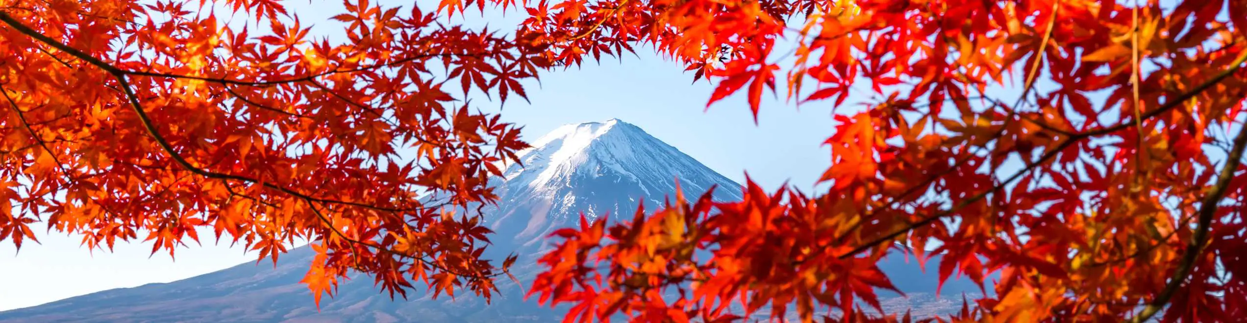Monte Fuji incorniciato da foglie rosse d’acero durante il foliage autunnale in Giappone