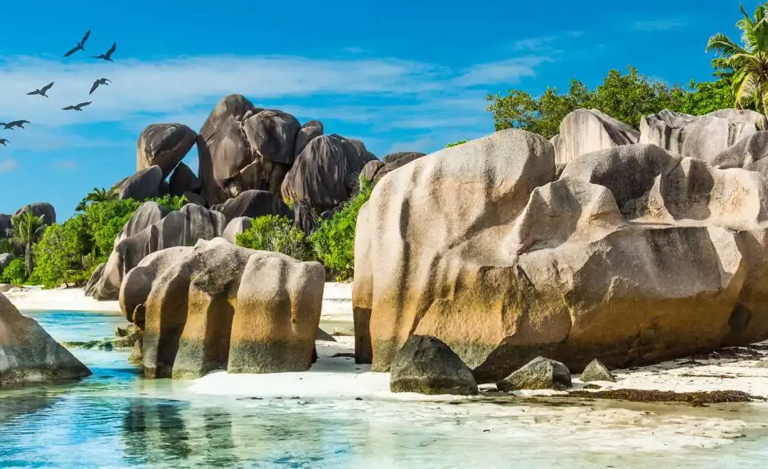 Eco Islands delle Seychelles: santuari di conservazione