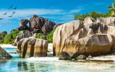 Eco Islands delle Seychelles: santuari di conservazione