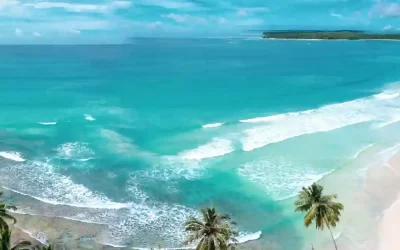 Mauritius o Seychelles: quale scegliere per la tua vacanza