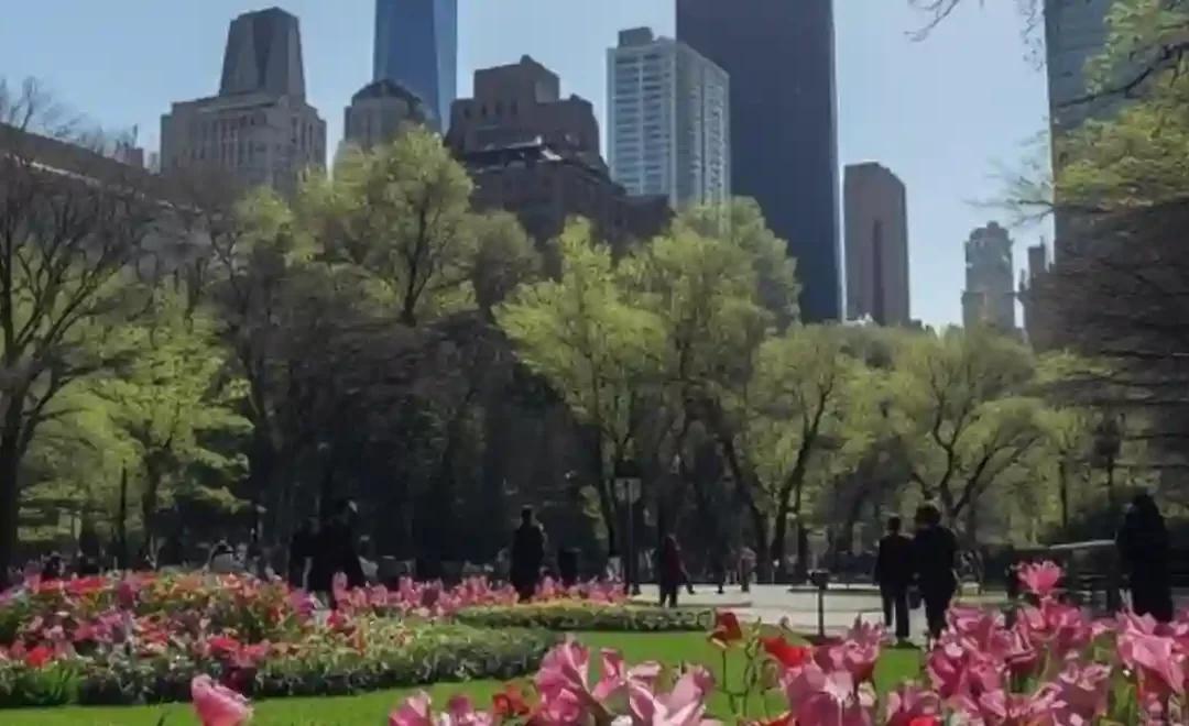 Primavera a New York: il periodo ideale per scoprirla