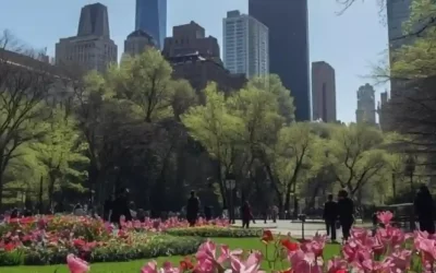 Primavera a New York: il periodo ideale per scoprirla