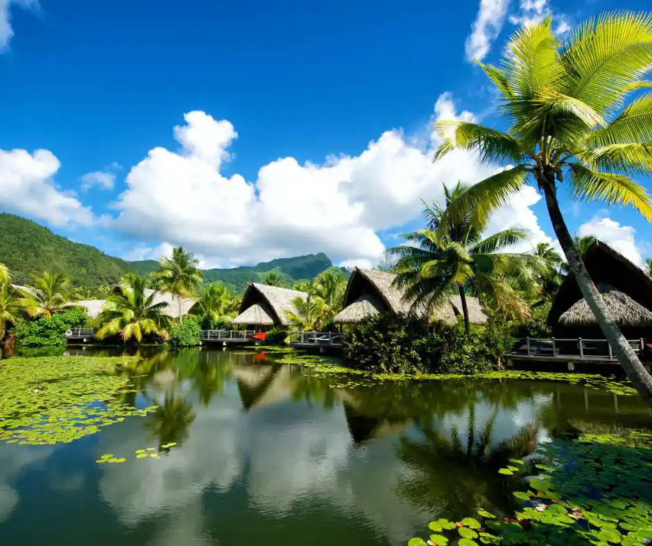Offerta viaggio Polinesia Francese โ soggiorno in bungalow tropicali Bungalow tropicali sul lago con palme nella Polinesia Francese