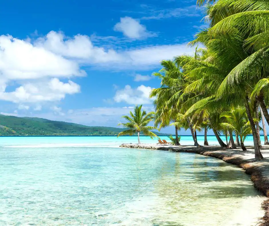 Offerta viaggio Polinesia Francese โ pacchetto vacanza tra spiagge tropicali Spiaggia tropicale con palme e laguna turchese nella Polinesia Francese