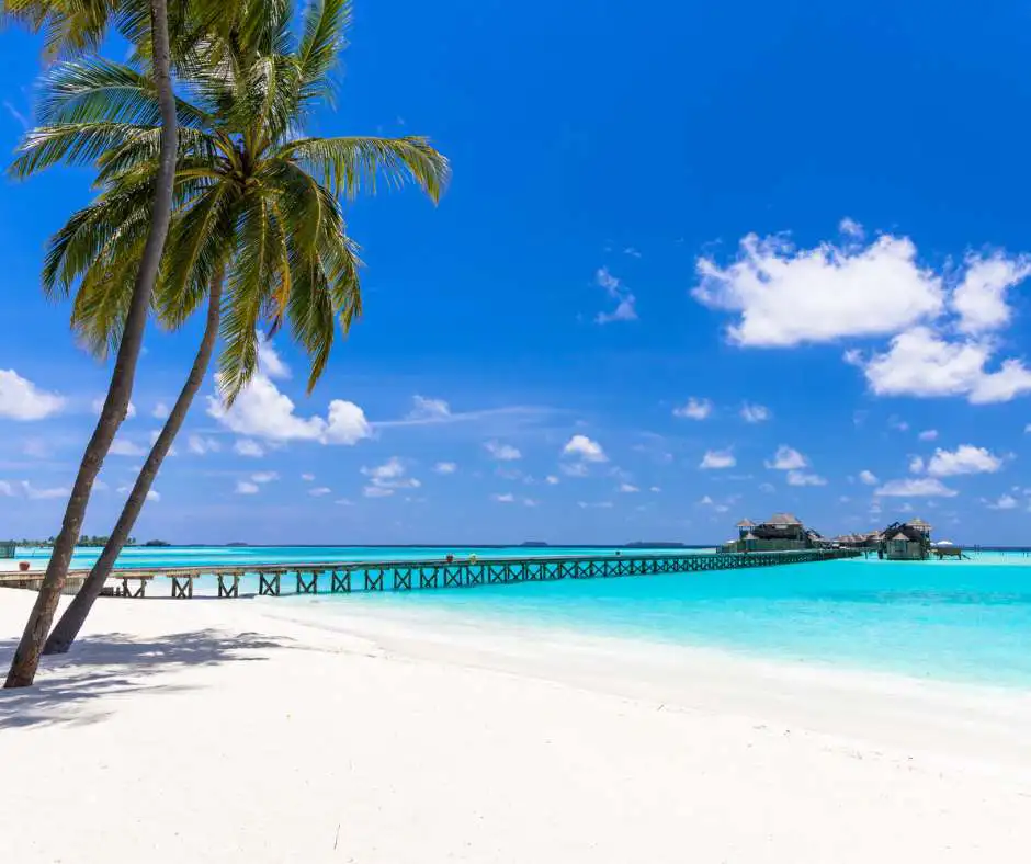 Offerta viaggio Polinesia Francese โ pacchetto vacanza con bungalow sullโacqua Spiaggia bianca con palma e bungalow sullโacqua nella Polinesia Francese