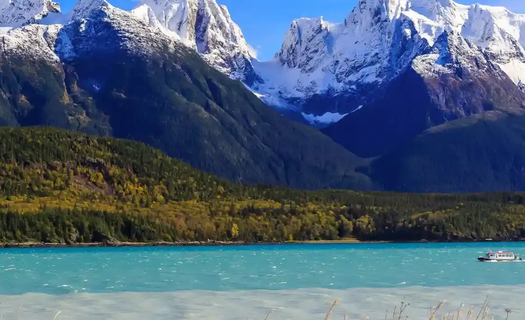 Alaska: cosa vedere tra ghiacciai e natura selvaggia