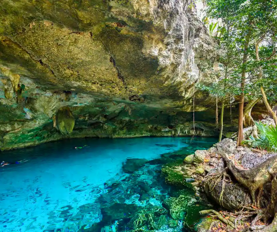 Offerta viaggio Messico cenote Riviera Maya Cenote con acqua cristallina nella giungla dello Yucatán in Messico