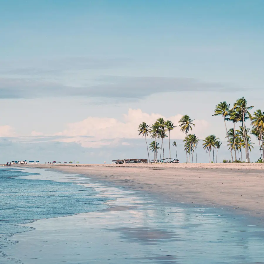 Diani Beach in Kenya con palme e spiaggia tropicale