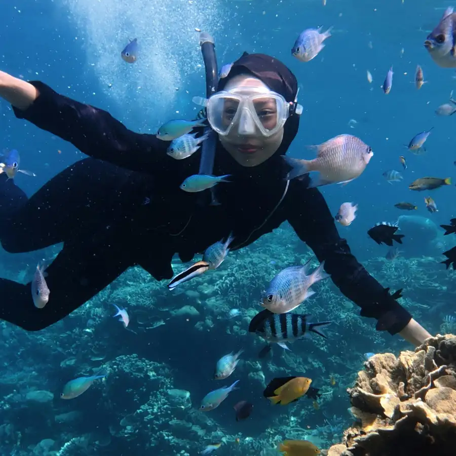 Snorkeling tra pesci tropicali e barriera corallina nel Mar Rosso in Egitto