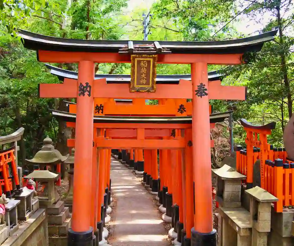 Offerta viaggio Fushimi Inari Kyoto – pacchetto vacanza Giappone organizzato Portali rossi del Fushimi Inari Taisha a Kyoto durante un viaggio in Giappone.