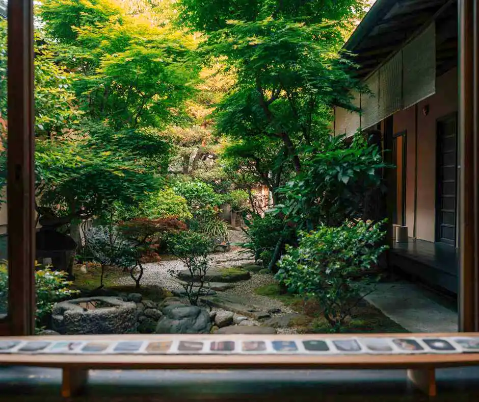 Pacchetto vacanza Giappone – viaggio organizzato tra Kyoto, giardini e tradizioni Giardino tradizionale giapponese con piante, pietre e atmosfera zen.