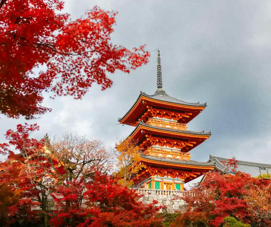Pacchetto vacanza Kyoto – viaggio organizzato tra templi e colori del Giappone Tempio giapponese a Kyoto circondato da foglie rosse autunnali.
