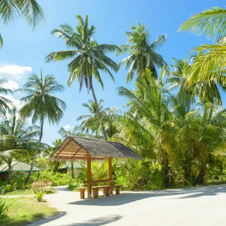 Quanto costano le Maldive