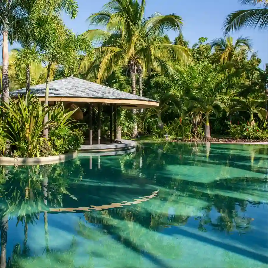 Resort tropicale con piscina immersa tra palme e vegetazione esotica