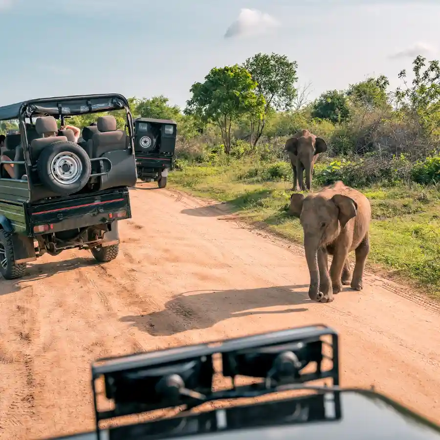 Jeep safari in Kenya con elefanti nella savana africana