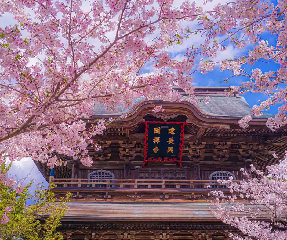 Offerta viaggio Giappone primavera – pacchetto vacanza Tokyo e Kyoto Tempio giapponese con ciliegi in fiore durante la primavera in Giappone.