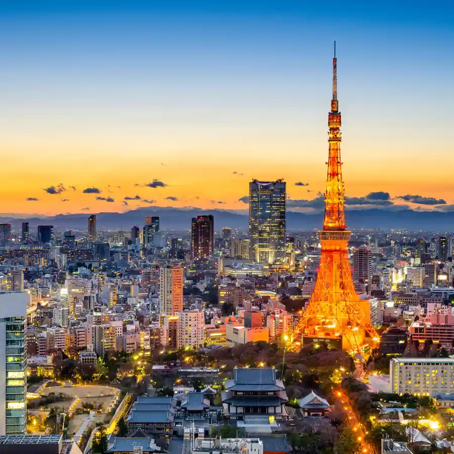 Skyline di Tokyo al tramonto con Tokyo Tower illuminata