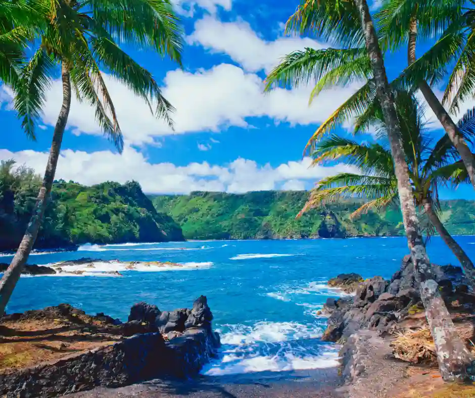 Offerta viaggio Hawaii – natura tropicale e paesaggi da film Costa tropicale delle Hawaii con palme, scogliere verdi e oceano blu.