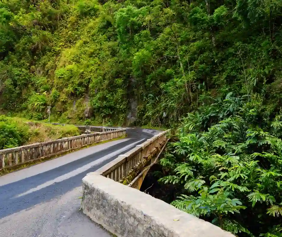 Viaggio Hawaii – Road to Hana Maui Strada panoramica Road to Hana immersa nella foresta tropicale di Maui.