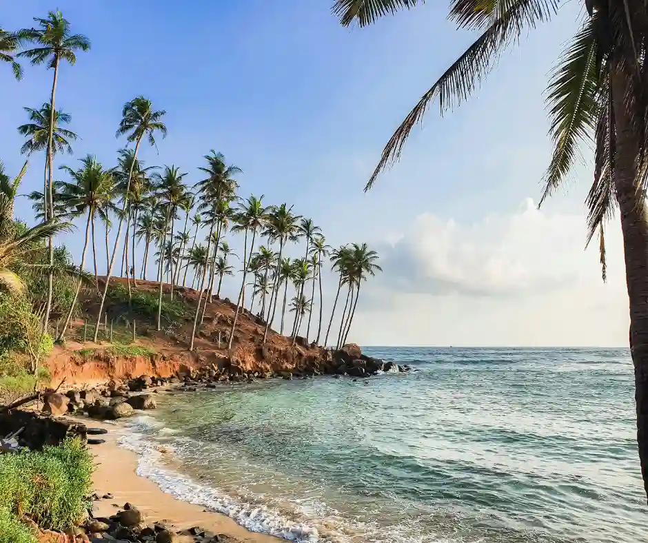 Pacchetto vacanza Hawaii – soggiorno mare a Maui Spiaggia tropicale di Maui con palme alte e mare calmo.