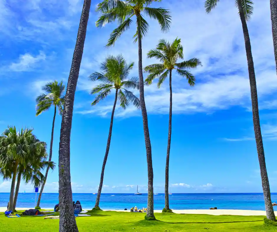 Pacchetto vacanza Hawaii – soggiorno a Honolulu e Waikiki Spiaggia di Waikiki a Honolulu con palme, prato e mare azzurro.
