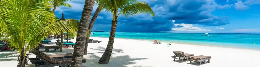 Spiaggia tropicale di Mauritius con mare cristallino e palme lungo la costa.