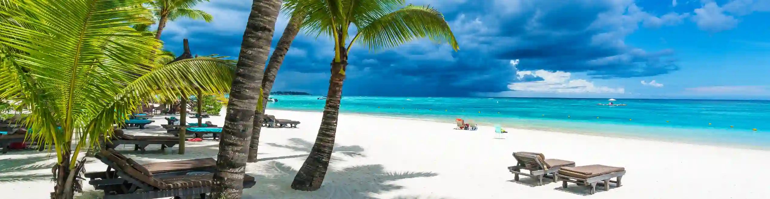 Spiaggia tropicale di Mauritius con mare cristallino e palme lungo la costa.