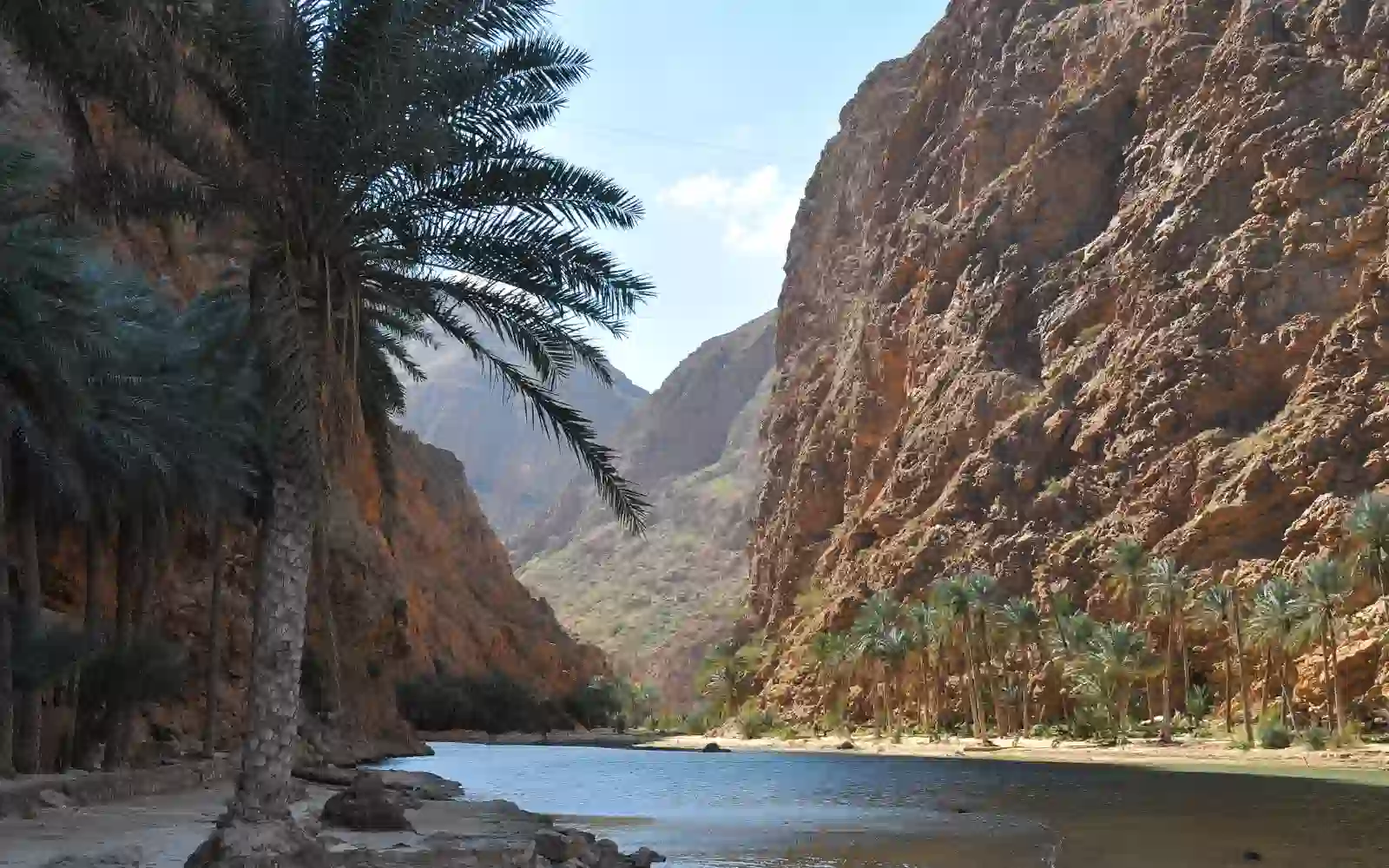 Oasi naturale con acqua e palme tra le montagne rocciose dell'Oman