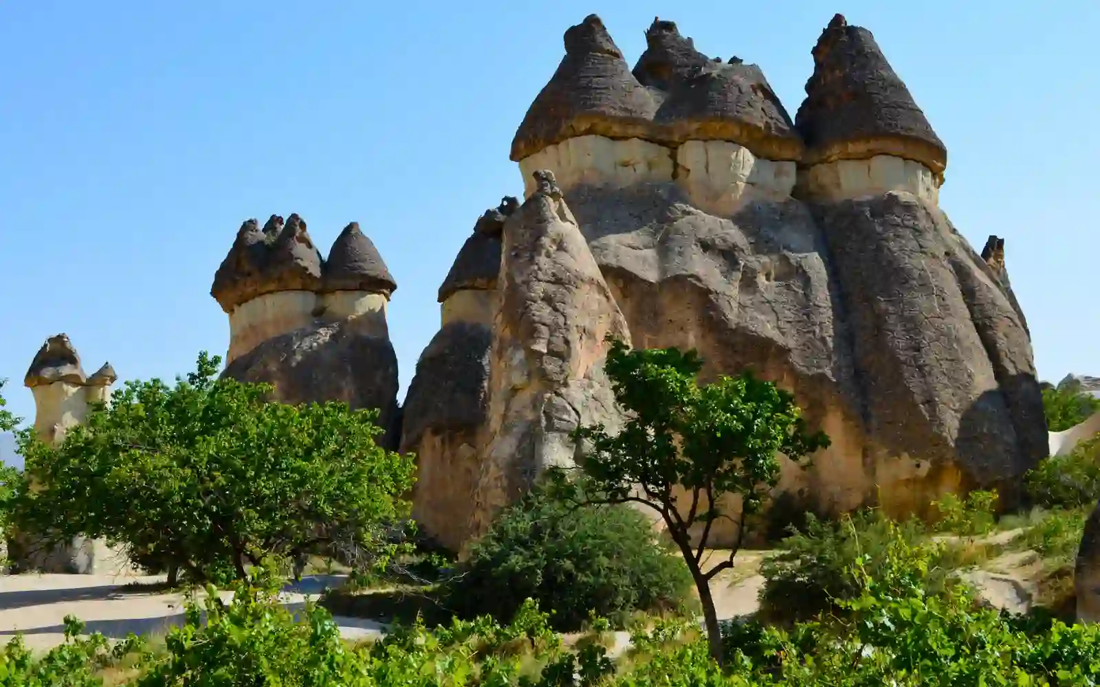 Camini delle Fate della Cappadocia circondati dalla vegetazione sotto un cielo azzurro