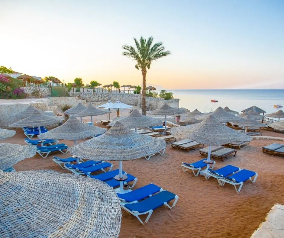 Spiaggia di Sharks Bay – Sharm el-Sheikh Spiaggia attrezzata con ombrelloni e lettini affacciata sul mare nella zona di Sharks Bay.