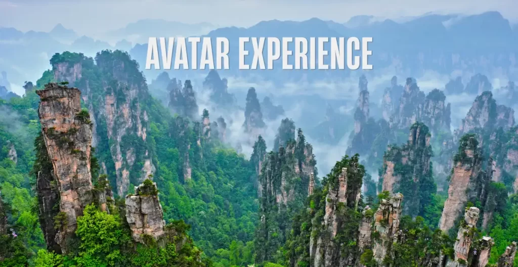 Panorama delle montagne e dei pinnacoli rocciosi di Zhangjiajie immersi nella nebbia e nella vegetazione.