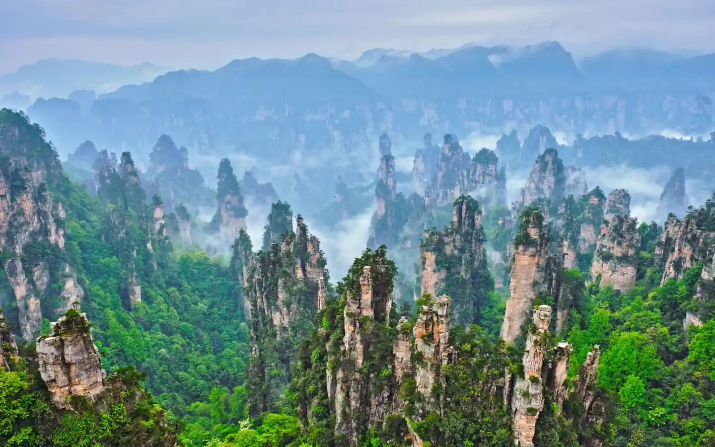 Montagne di Zhangjiajie immerse nella nebbia e nella vegetazione