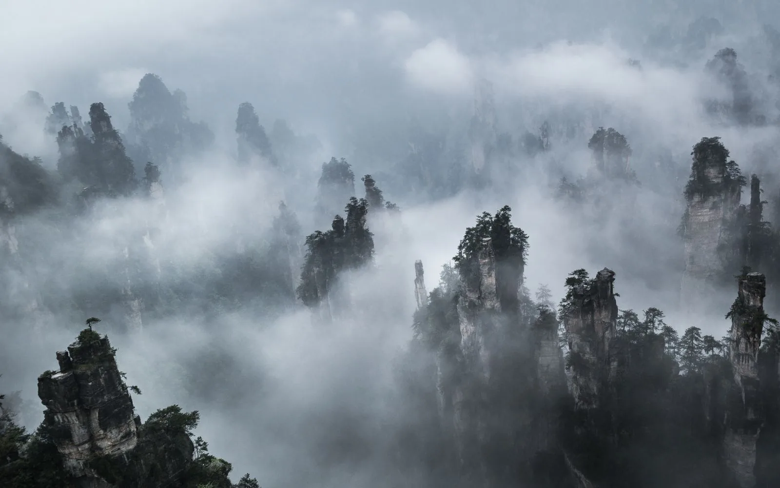 Pinnacoli di Zhangjiajie avvolti dalla nebbia che ricordano il mondo di Pandora