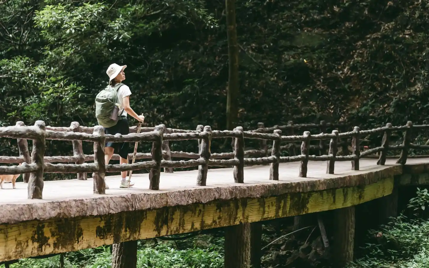 Escursionista lungo un sentiero immerso nel Parco Forestale di Zhangjiajie