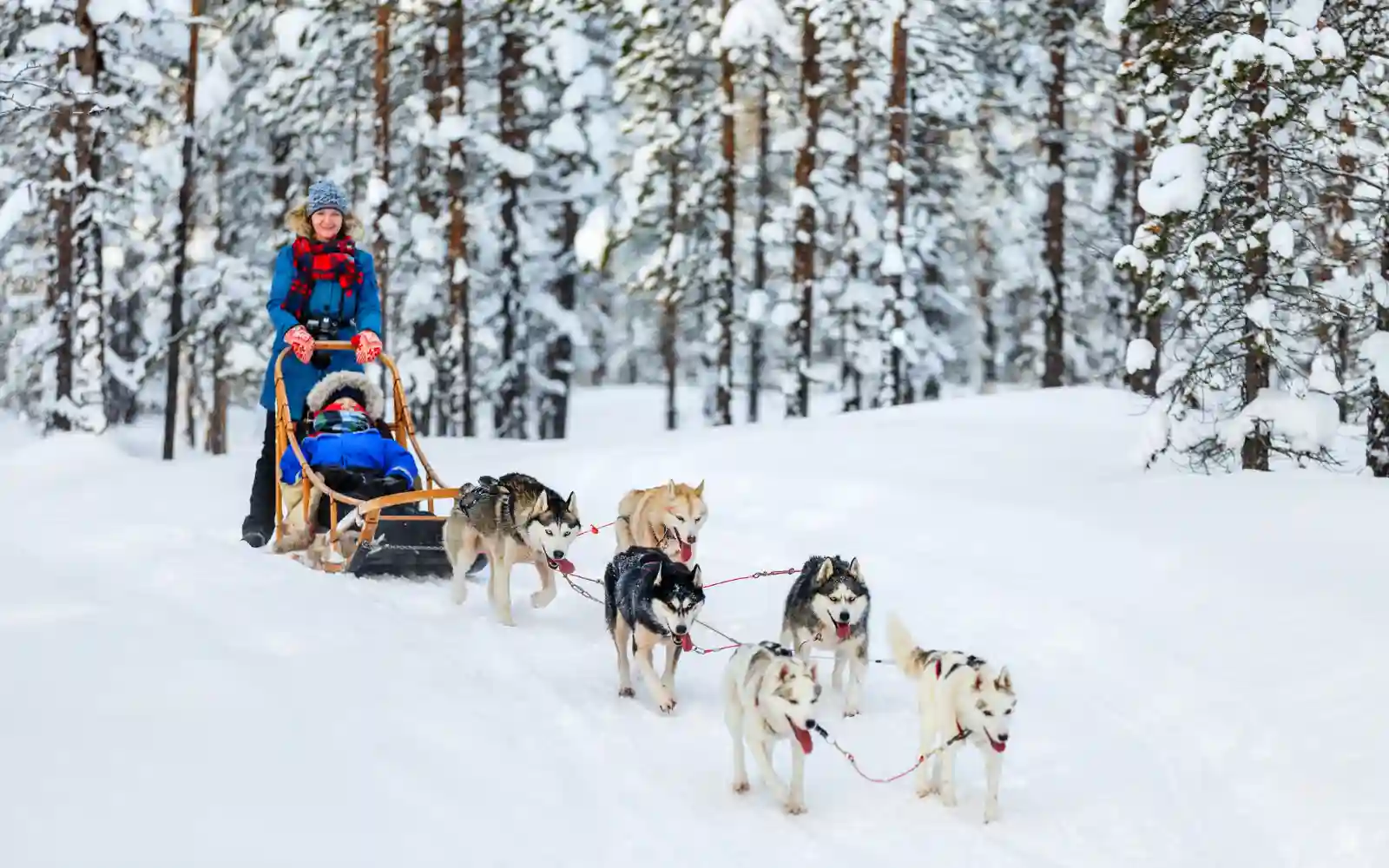 Escursione con slitta trainata da husky attraverso un paesaggio innevato