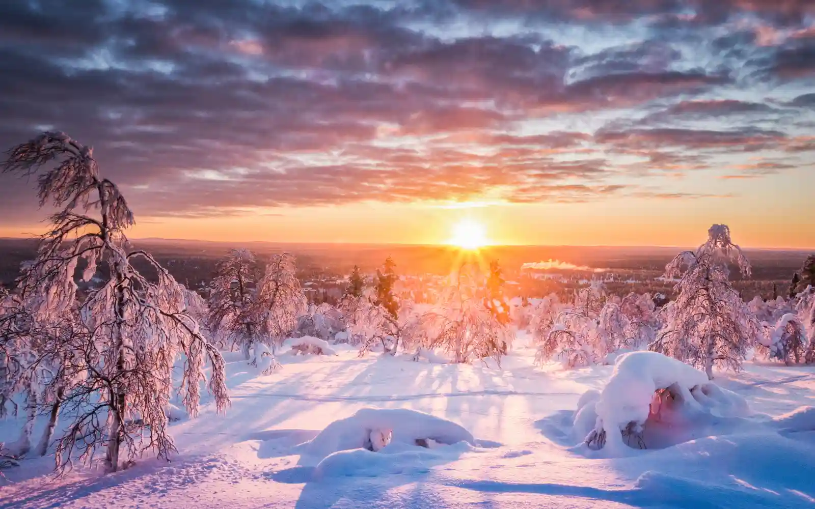Foresta ricoperta di neve illuminata dalla luce calda del sole invernale