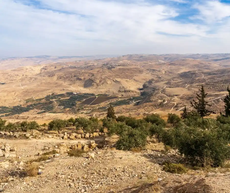 Pacchetto vacanza Giordania – Panorama dal Monte Nebo Panorama sulla Valle del Giordano visto dal Monte Nebo tra colline e vegetazione