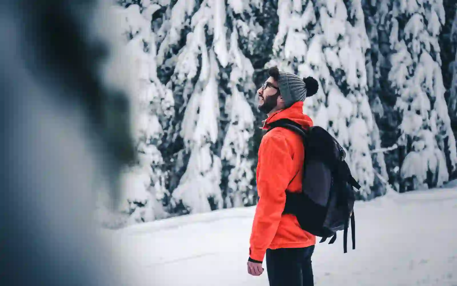 Viaggiatore immerso nel silenzio di un bosco innevato in inverno