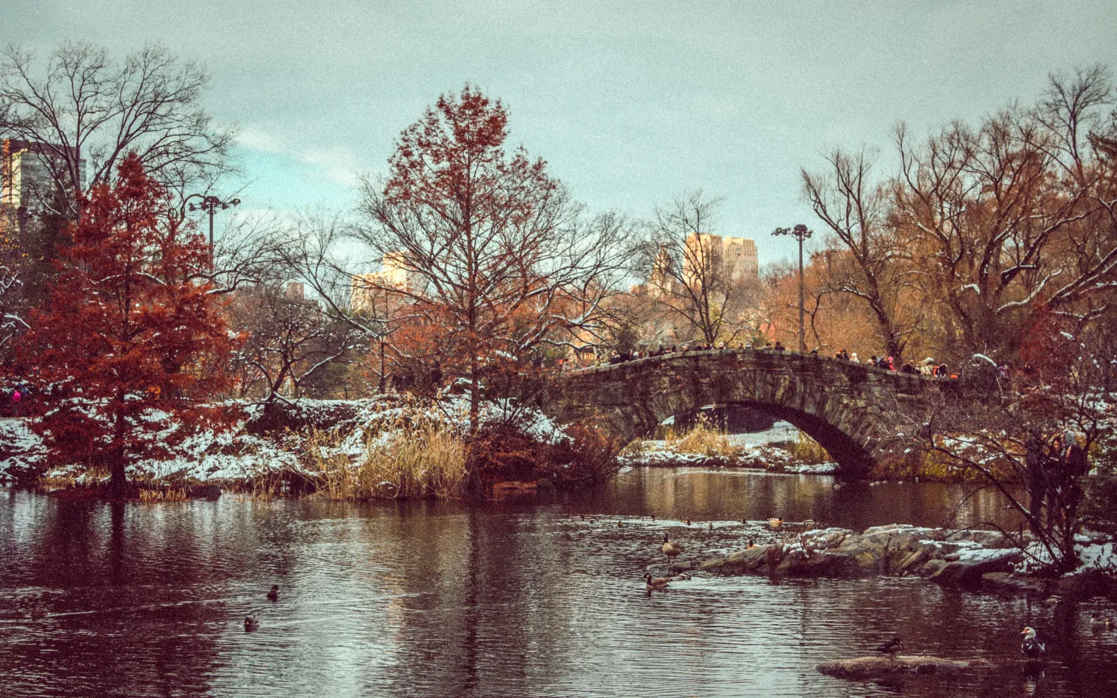 Ponte in pietra sopra un laghetto di Central Park, con alberi spogli e neve sulle rive