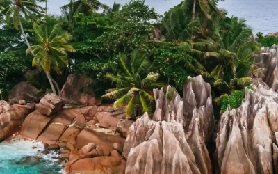 Seychelles ad Aprile: Clima, Spiagge e Consigli | Ensy7